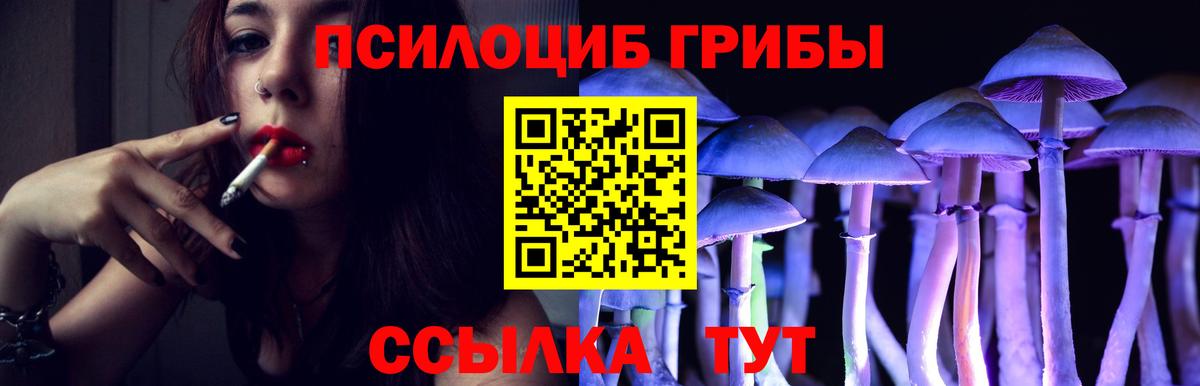 Галлюциногенные грибы Magic Shrooms Коломна