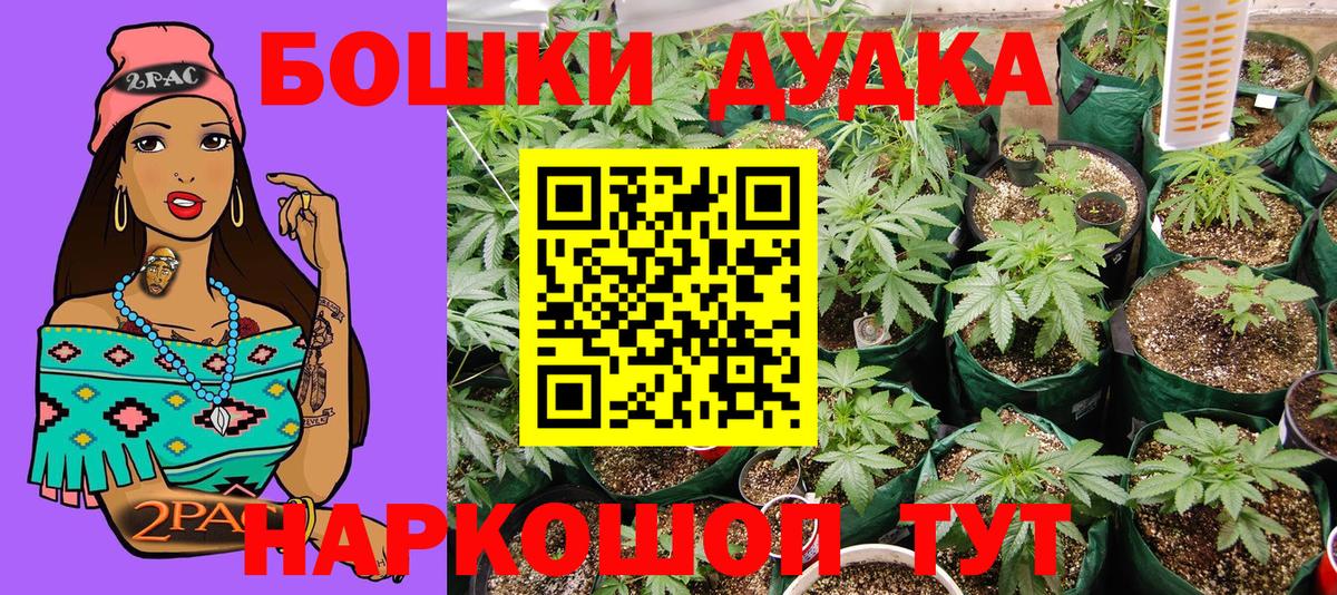 Конопля марихуана Коломна
